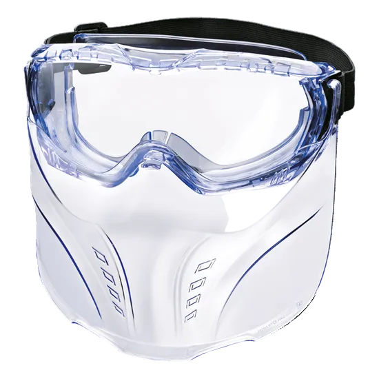 Full Face Visor